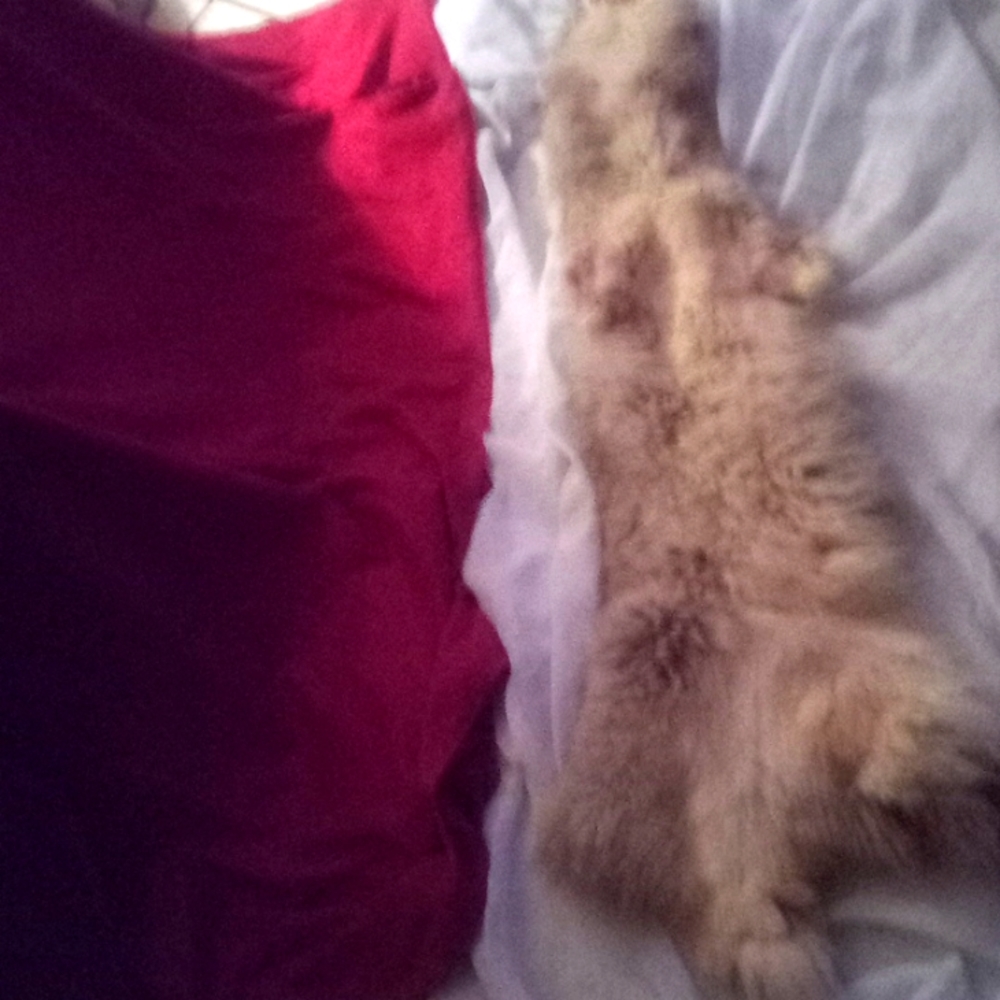 a fox  wrap around a throw  just to set your feet on  when you set out bed 4 ft